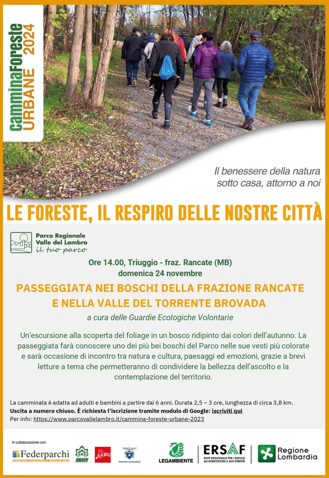 cammina foreste